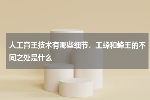 人工育王技术有哪些细节，工蜂和蜂王的不同之处是什么