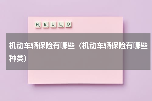 机动车辆保险有哪些（机动车辆保险有哪些种类）