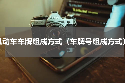 机动车车牌组成方式（车牌号组成方式）