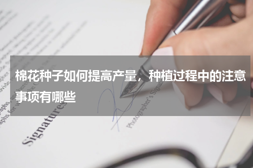 棉花种子如何提高产量，种植过程中的注意事项有哪些