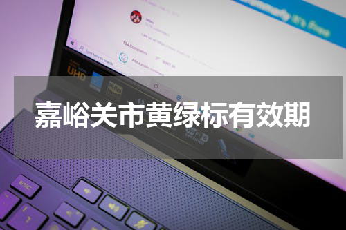 嘉峪关市黄绿标有效期