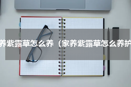 家养紫露草怎么养（家养紫露草怎么养护）