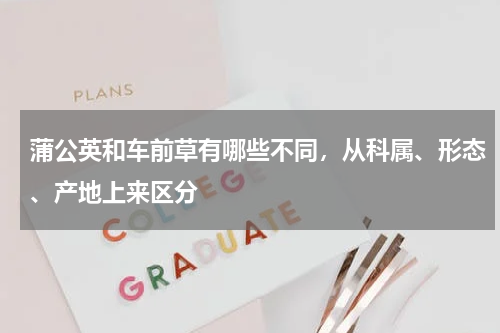 蒲公英和车前草有哪些不同，从科属、形态、产地上来区分