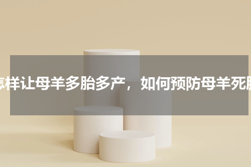 怎样让母羊多胎多产，如何预防母羊死胎