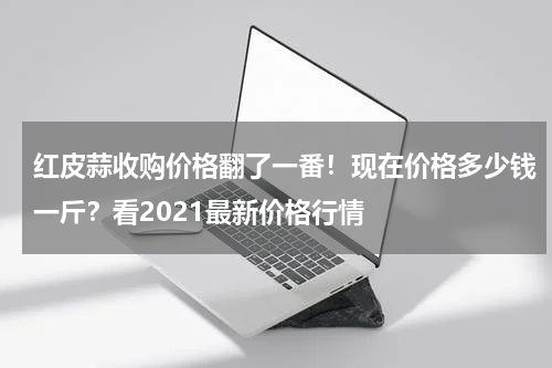 红皮蒜收购价格翻了一番！现在价格多少钱一斤？看2021最新价格行情