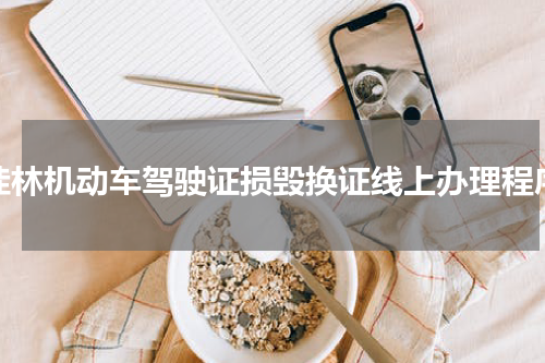 桂林机动车驾驶证损毁换证线上办理程序