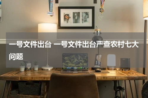 一号文件出台 一号文件出台严查农村七大问题