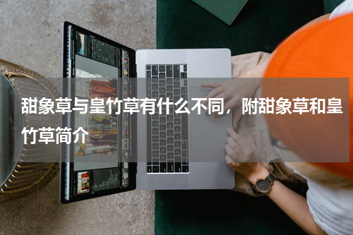 甜象草与皇竹草有什么不同，附甜象草和皇竹草简介