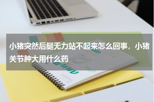 小猪突然后腿无力站不起来怎么回事，小猪关节肿大用什么药