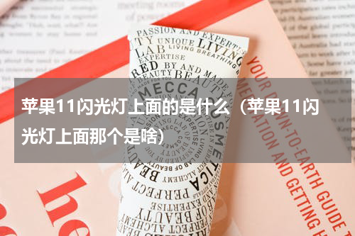 苹果11闪光灯上面的是什么（苹果11闪光灯上面那个是啥）