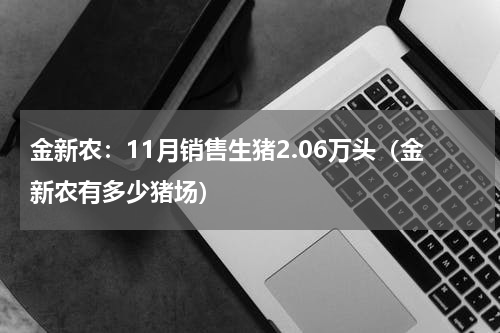 金新农：11月销售生猪2.06万头（金新农有多少猪场）