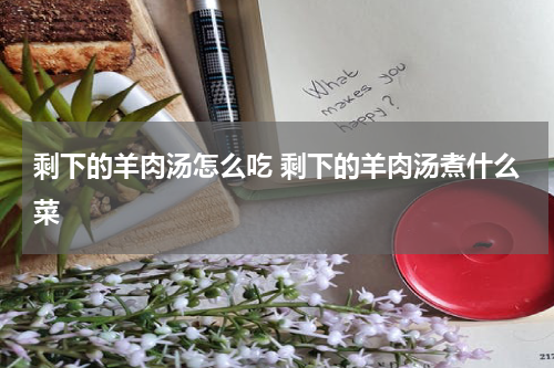 剩下的羊肉汤怎么吃 剩下的羊肉汤煮什么菜