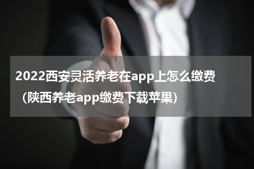 2022西安灵活养老在app上怎么缴费（陕西养老app缴费下载苹果）