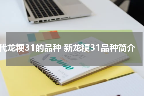 替代龙粳31的品种 新龙粳31品种简介