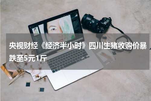央视财经《经济半小时》四川生猪收购价暴跌至5元1斤