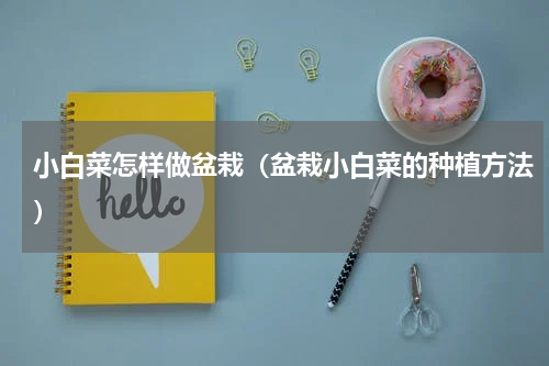 小白菜怎样做盆栽（盆栽小白菜的种植方法）