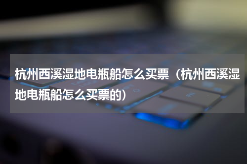 杭州西溪湿地电瓶船怎么买票（杭州西溪湿地电瓶船怎么买票的）
