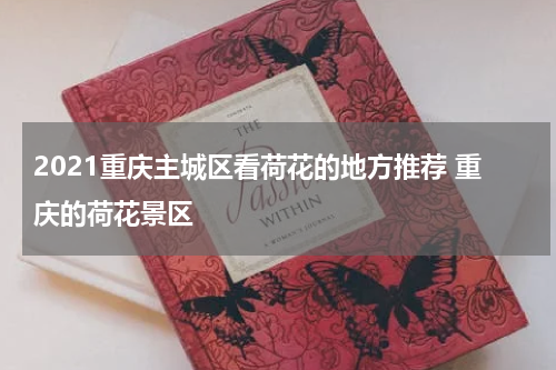 2021重庆主城区看荷花的地方推荐 重庆的荷花景区