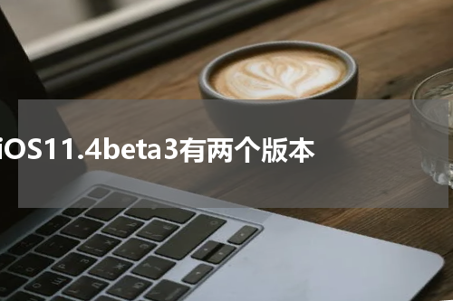 iOS11.4beta3有两个版本