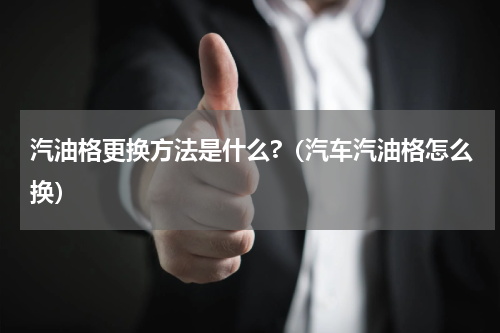 汽油格更换方法是什么?（汽车汽油格怎么换）