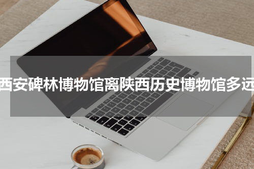 西安碑林博物馆离陕西历史博物馆多远