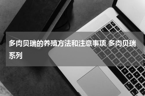 多肉贝瑞的养殖方法和注意事项 多肉贝瑞系列