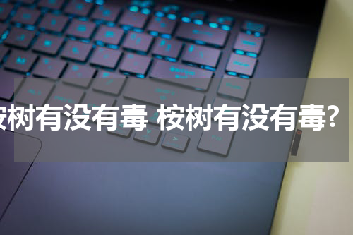 桉树有没有毒 桉树有没有毒?