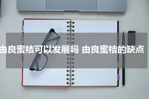 由良蜜桔可以发展吗 由良蜜桔的缺点