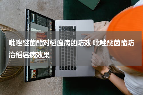 吡唑醚菌酯对稻瘟病的防效 吡唑醚菌酯防治稻瘟病效果