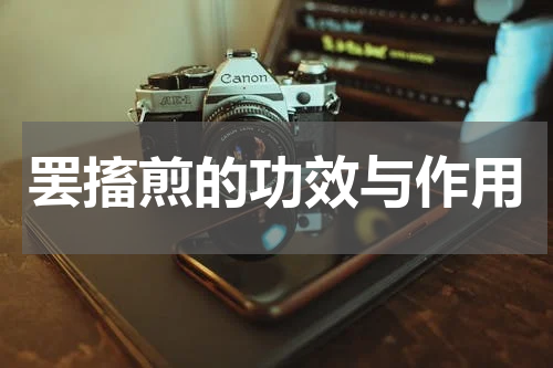 罢搐煎的功效与作用