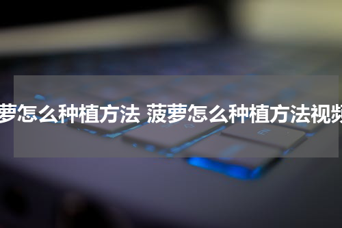 菠萝怎么种植方法 菠萝怎么种植方法视频