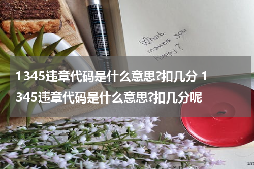 1345违章代码是什么意思?扣几分 1345违章代码是什么意思?扣几分呢
