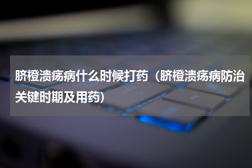 脐橙溃疡病什么时候打药（脐橙溃疡病防治关键时期及用药）