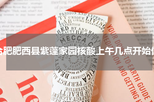合肥肥西县紫蓬家园核酸上午几点开始做