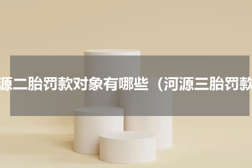 河源二胎罚款对象有哪些（河源三胎罚款）