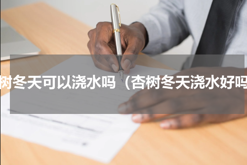 杏树冬天可以浇水吗（杏树冬天浇水好吗）