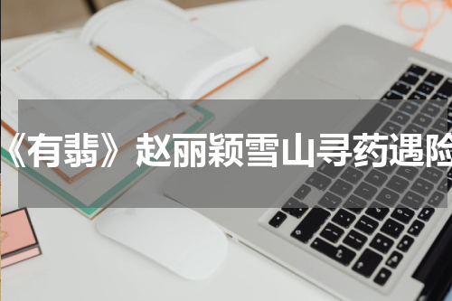 《有翡》赵丽颖雪山寻药遇险