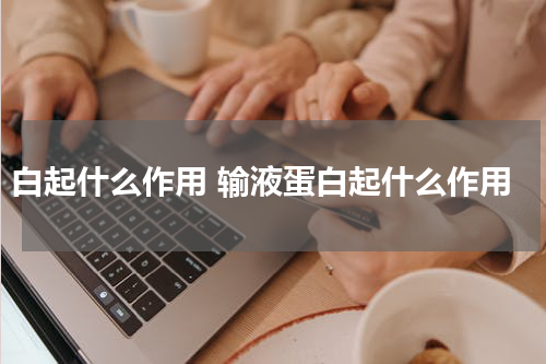 白起什么作用 输液蛋白起什么作用