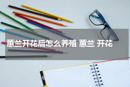 蕙兰开花后怎么养殖 蕙兰 开花