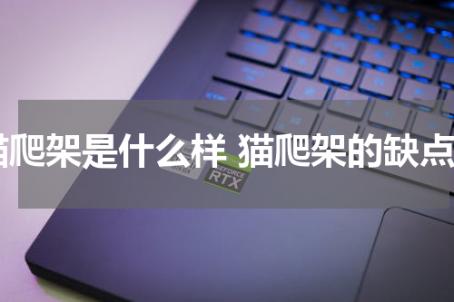 猫爬架是什么样 猫爬架的缺点