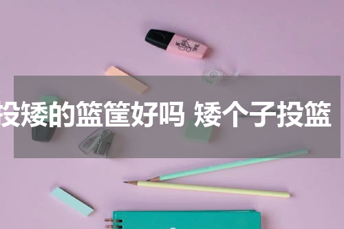 投矮的篮筐好吗 矮个子投篮