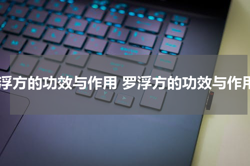 罗浮方的功效与作用 罗浮方的功效与作用