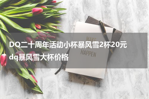 DQ二十周年活动小杯暴风雪2杯20元 dq暴风雪大杯价格