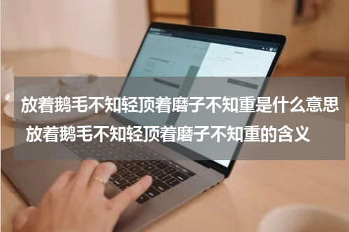 放着鹅毛不知轻顶着磨子不知重是什么意思 放着鹅毛不知轻顶着磨子不知重的含义