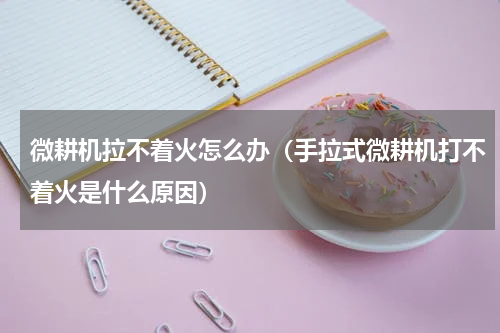 微耕机拉不着火怎么办（手拉式微耕机打不着火是什么原因）