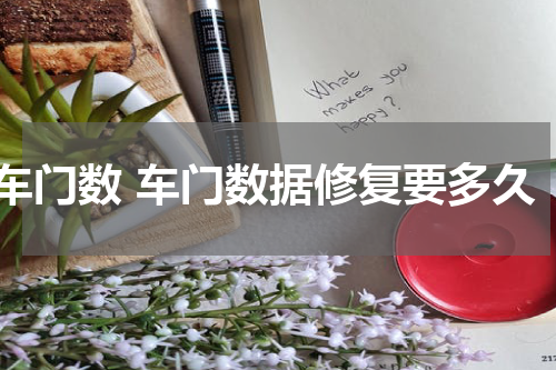 车门数 车门数据修复要多久