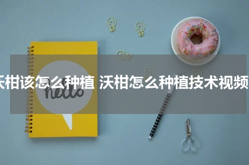 沃柑该怎么种植 沃柑怎么种植技术视频