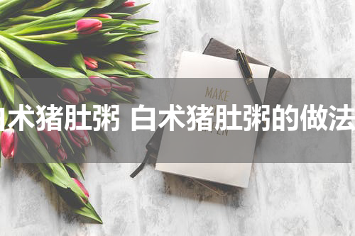 白术猪肚粥 白术猪肚粥的做法