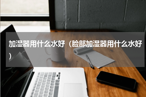 加湿器用什么水好（脸部加湿器用什么水好）