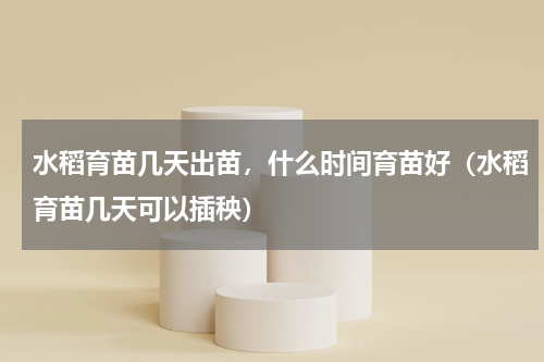 水稻育苗几天出苗，什么时间育苗好（水稻育苗几天可以插秧）